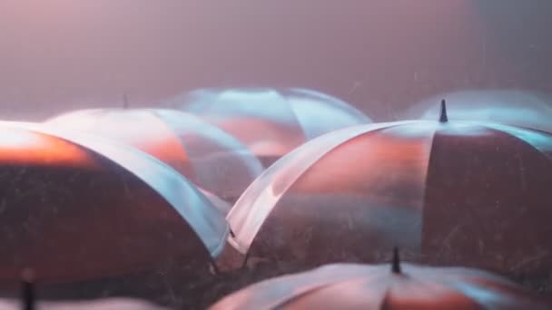 Nesčetní Lidé Úzké Ulici Procházející Dešti Černé Deštníky Osvětlené Neonovými — Stock video