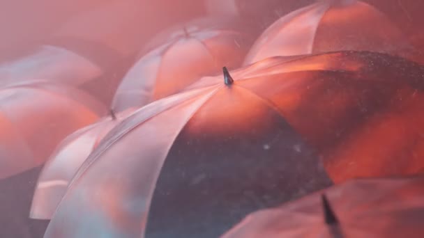Niezliczona Ilość Ludzi Wąskiej Ulicy Spacerująca Deszczu Czarne Parasole Oświetlone — Wideo stockowe