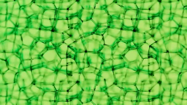 Generieke Plantencelstructuren Onder Een Microscoop Lagen Van Celwanden Levendige Groene — Stockvideo