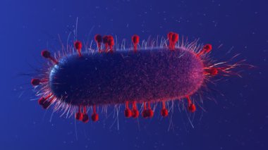 Bakteriyofajlar T4 bateryumu enfekte ediyor. E. Coli 'nin yüzeyinde oturan birçok kırmızı hastalık RNA enjekte ediyor. Antibiyotiğe alternatif olarak faz terapisi. Bağırsak enfeksiyonu. Tıp, bilim 4k HD