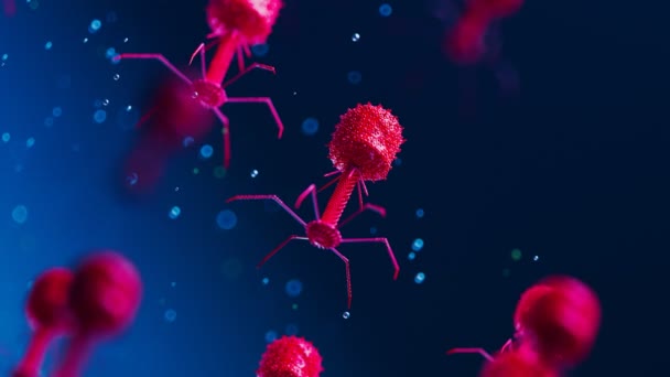 多くの浮遊する細菌類 ウイルスはバクテリアに感染するのを待っています 明るい赤いファージは 暗い青色の背景に対してゆっくりと移動します 抗生物質の代替としてのファージ療法 サイエンス4K — ストック動画