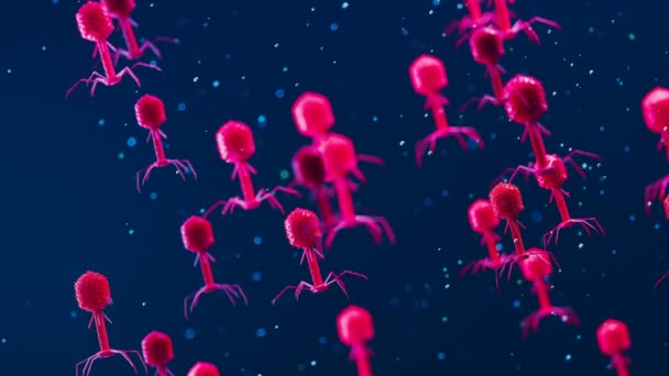 多くの浮遊する細菌類 ウイルスはバクテリアに感染するのを待っています 明るい赤いファージは 暗い青色の背景に対してゆっくりと移動します 抗生物質の代替としてのファージ療法 サイエンス4K — ストック動画