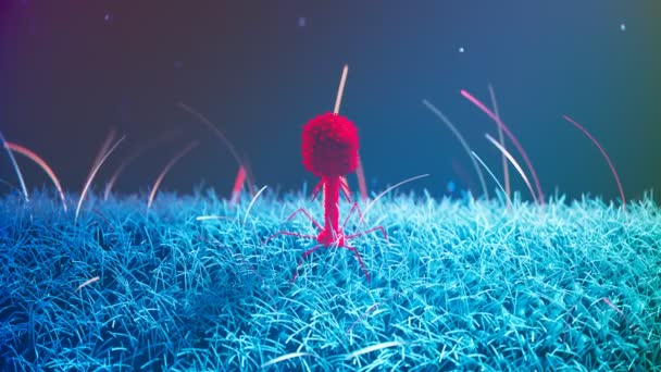 Batteriofago Singolo Seduto Sulla Superficie Dei Batteri Virus Infetta Replica — Video Stock