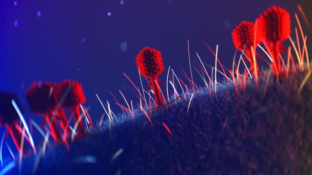 バクテリオファージT4はバトリウムに感染する Coliの表面に座っている多くの赤いファージは Rnaを注射します 抗生物質の代替としてのファージ療法 腸内感染症 サイエンス4K — ストック動画