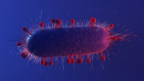 Bacteriófagos Infectando Baterium Muitos Fagos Vermelhos Sentados Superfície Coli Injetando — Vídeo de Stock
