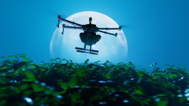 Loopable Animace Drone Sprejování Zdravotní Rostlinné Produkty Plantáži Noci Krásný — Stock video