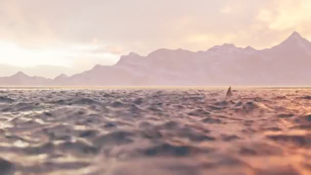 Animacja Płetwy Rekina Poruszająca Się Szybko Powierzchni Morza Kamera Się — Wideo stockowe