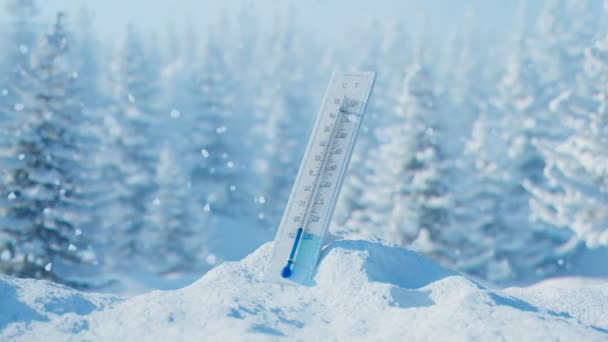 Thermometer Snowdrift Beautiful White Snowy Surrounding Mercury Column Showing Extremely — Stock Video
