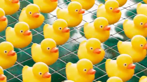 Lastik Ördeklerin Kusursuz Döngü Görüntüleri Sıraya Dizilmiş Sevimli Sarı Oyuncaklar — Stok video