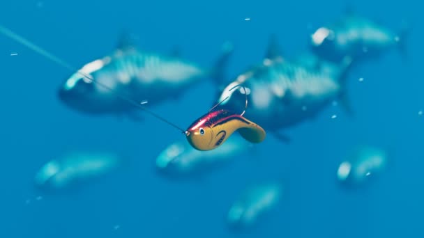 青い水に噛まれた黄金の魚のアニメーション 釣りをしている間 素晴らしいルアーと共にロード 背景の魚を泳いでいる ホビータイム 海が怒ってる 魚を捕まえるためのカラフルなタックル ウォブラー — ストック動画