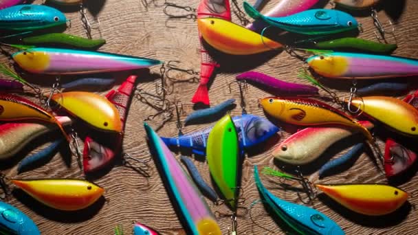 Απρόσκοπτη Κίνηση Από Διάφορα Χρωματιστά Τσιμπήματα Ψαριών Σετ Πολύχρωμων Δολωμάτων — Αρχείο Βίντεο