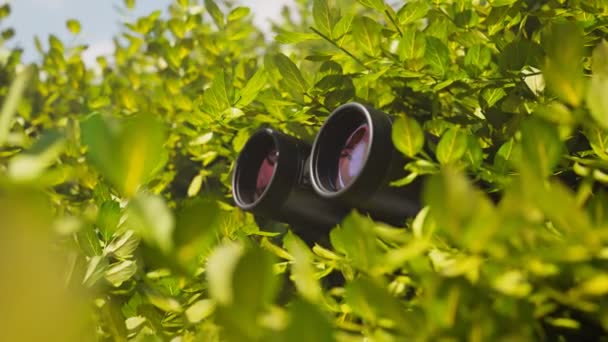 나뭇잎 사이의 쌍안경 스파이 기술의 숨겨진 스파이 안경을 통해보고 목표를보고 — 비디오
