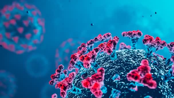 Animering Flera Virus Inuti Organismen Som Orsakar Sjukdom Coronavirus Celler — Stockvideo