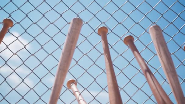 Безшовна Циклічна Анімація Бейсбольними Кажанами Виступають Проти Ланцюгового Паркану Навколо — стокове відео
