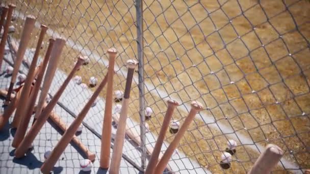 Бесшовная Зацикленная Анимация Бейсбольными Битами Прислонившимися Забору Цепи Вокруг Бейсбольного — стоковое видео