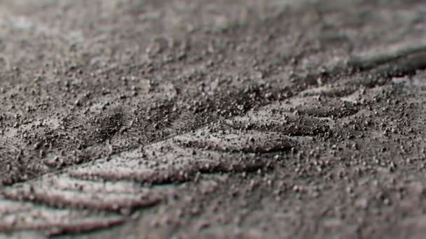 Filmaufnahmen Die Bemerkenswert Vollständige Fossilien Zeigen Versteinertes Farnblatt Laub Aus — Stockvideo