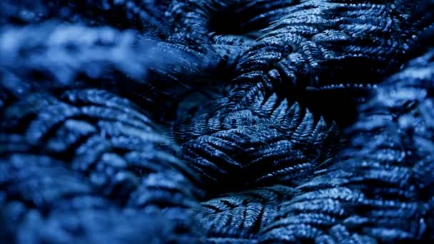 在月亮的蓝光下 蕨叶在夜间无缝隙的回旋动画 天然森林的植物 热带环境中的民间故事 大自然 植物学 侏罗纪时代神秘的气氛 — 图库视频影像