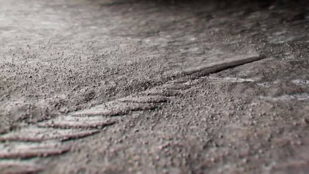 Imagens Mostrando Fóssil Incrivelmente Completo Folha Samambaia Fossilizada Folhagem Era — Vídeo de Stock