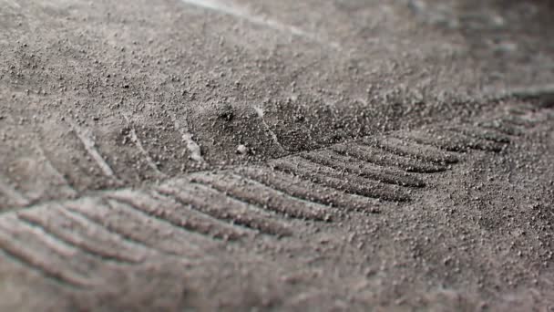 Záznam Ukazuje Pozoruhodně Kompletní Zkamenělinu Fossilizovaný Kapradový List Foliage Jurrasic — Stock video