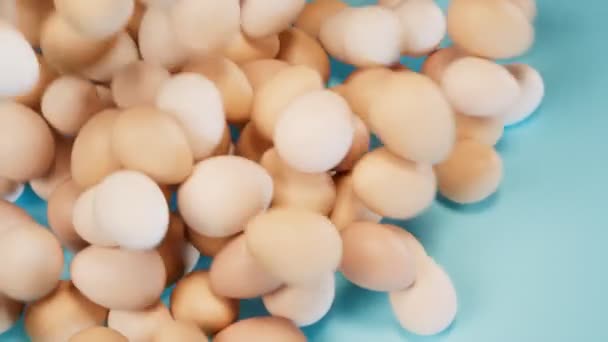 Βίντεο Δείχνει Ένα Σωρό Αυγά Μπλε Παστέλ Φόντο Τεράστιος Αριθμός — Αρχείο Βίντεο