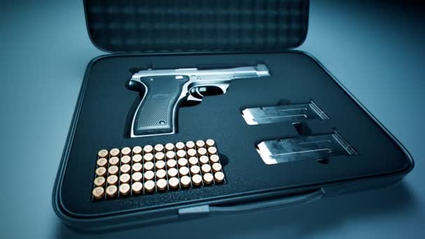 Military Case Pistol Bullets Magazines Gun Munition Ammo Box Weapon — Stock Video