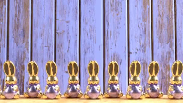 Uppsättning Bedårande Choklad Hoppning Påsk Kaniner Loopable Animation Söta Och — Stockvideo