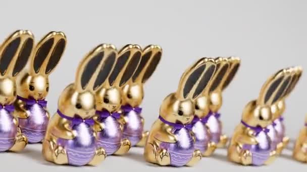 Sada Rozkošných Čokoládových Velikonočních Zajíčků Loopable Animace Roztomilé Lahodné Sladké — Stock video