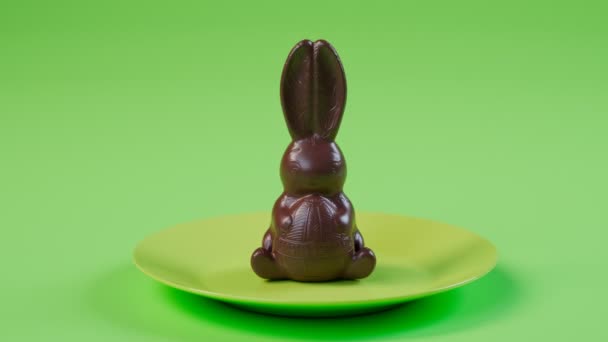 Een Heerlijke Chocolade Paashaas Eten Schattig Konijn Een Groen Pastelbord — Stockvideo