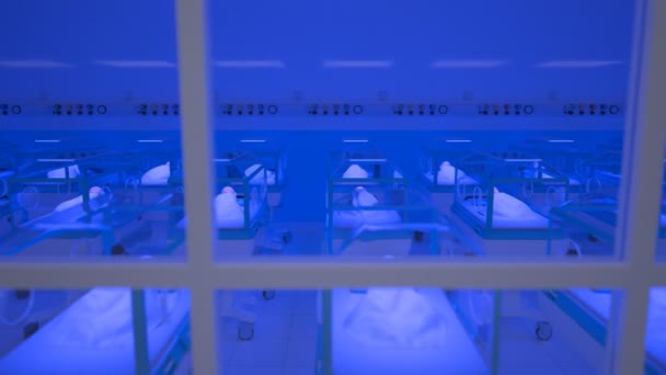 Бесшовный Цикл Анимации Инкубаторов Младенцами Больнице Спасательное Оборудование Новорожденных Медицинское — стоковое видео