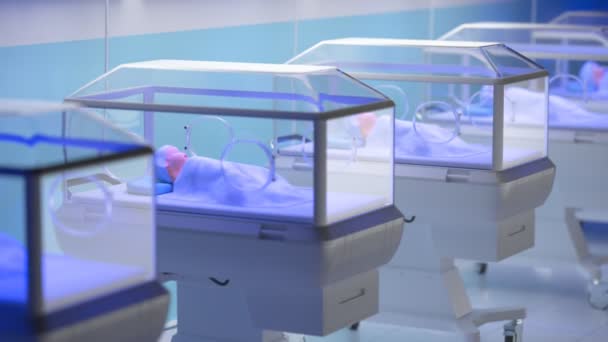 Animación Bucle Sin Fisuras Incubadoras Con Bebés Hospital Equipo Salvamento — Vídeos de Stock