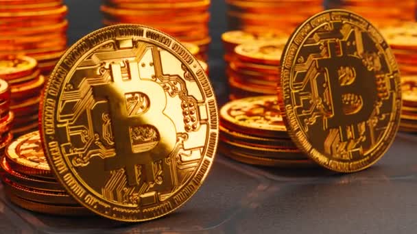 Nahtlose Looping Animation Von Bitcoin Goldmünzen Konzept Der Virtuellen Kryptowährung — Stockvideo