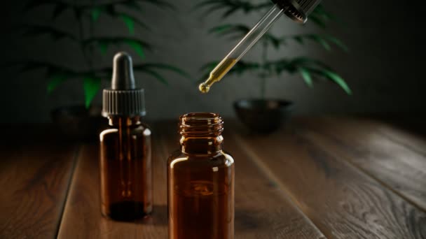 Natürliche Cannabisölprodukte Tropferflaschen Tropfen Des Ätherischen Öls Cbd Fallen Die — Stockvideo
