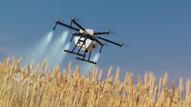Płynna Animacja Pętli Uprawy Zbóż Żółte Uszy Płatków Podlewają Drony — Wideo stockowe