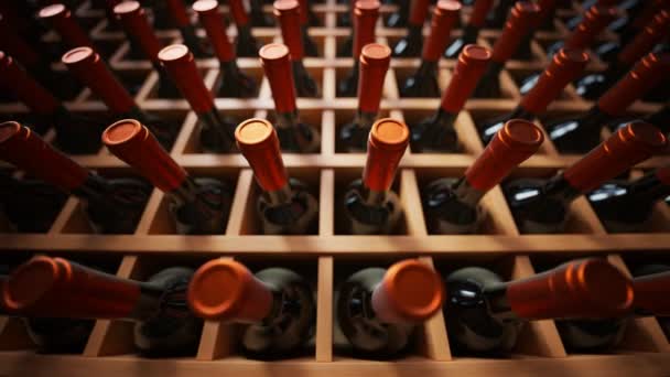 Bezproblemowa Animacja Butelek Wina Zamówionych Drewnianych Półkach Ciemnej Winiarni Koncepcja — Wideo stockowe