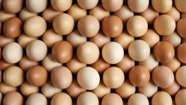 Seamless Looping Animation Enormous Numbers Eggs Raw Hen Eggs Fresh — Stock Video
