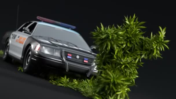 Egy Rendőrségi Jármű Üldöz Egy Marihuánából Készült Lényt Kannabiszgyár Elmenekül — Stock videók