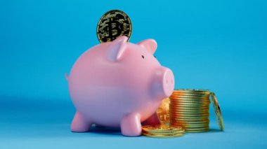 Mavi arka planda altın bitcoin yığınlarıyla çevrili şirin pembe domuzcuk kumbarası. Dijital para biriminde para depolama konsepti. Zenginliğin, tutumluluğun, yatırımın sembolü. Tasarruf. Kripto para birimi.