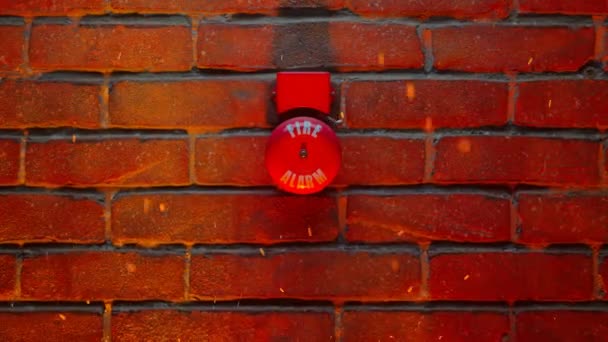 Smoke Alarm Brick Wall Red Electric Alarm Bell Ringing While — Stock Video