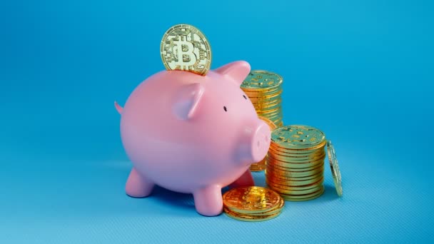 Söt Rosa Spargris Bank Omgiven Högar Gyllene Bitcoins Blå Bakgrund — Stockvideo
