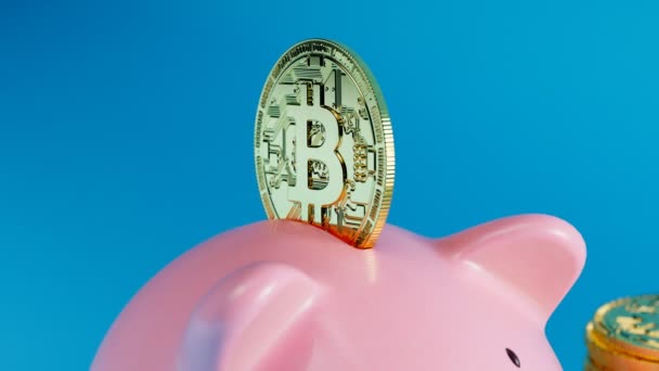 Niedliches Rosafarbenes Sparschwein Umgeben Von Stapeln Goldener Bitcoins Vor Blauem — Stockvideo