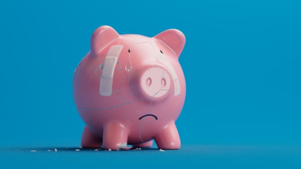Een Gebroken Roze Spaarvarken Bank Werd Weer Elkaar Gezet Met — Stockvideo