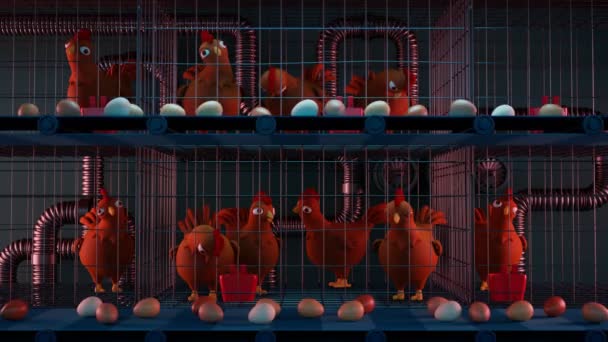 在家禽饲养场对笼中的鸡进行动画 可爱的鸟儿跳跃着拍打着翅膀 鸡蛋用传送带运送 自由放养的母鸡在户外活动 动物权利的概念 粮食生产 — 图库视频影像