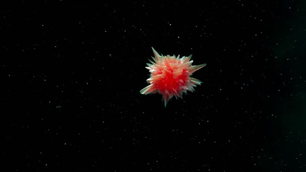 一个不明身份的太空飞行物体Ufo 夜景奇幻 水晶飞扬 红色空间晶体与锐利的脊形变 在星空的背景下 一个陌生的物体 神秘莫测 — 图库视频影像