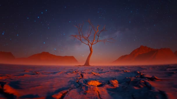 死树在美丽的沙漠风景中的夜晚 温暖的橙色落日光照在裂开的土壤 树桩和山岗上 满天星斗生态灾难的概念 水的问题 — 图库视频影像