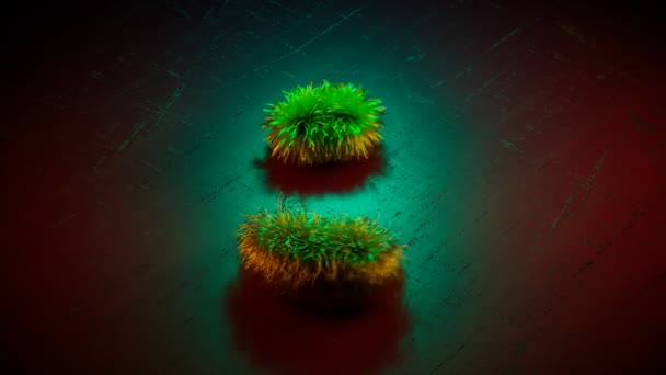 无缝隙循环动画与两个模糊的绿色虫子在圆圈移动 绿色背景上奇怪的毛茸茸的生物 动作中的毛茸茸的角色很可爱 异形生命形式 怪兽们 — 图库视频影像