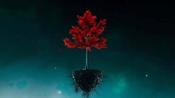 Krásný Červený Strom Izolovaný Pozadí Noční Hvězdnou Oblohou Vítr Fouká — Stock video