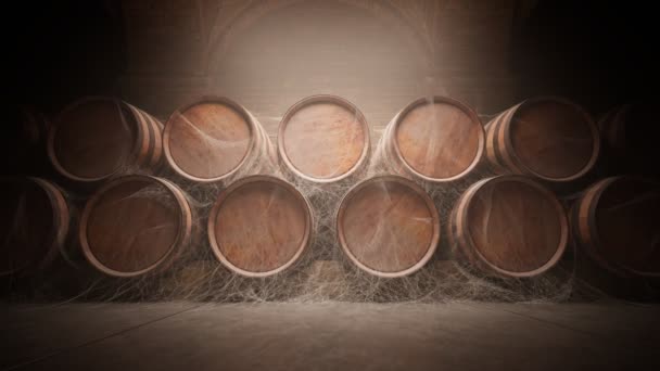 将葡萄酒或威士忌储存在黑暗的地下室或地下室的木桶 将橡木桶一个接一个地放置在无休止的循环画面中的侧视图 葡萄酒 储存概念4K — 图库视频影像