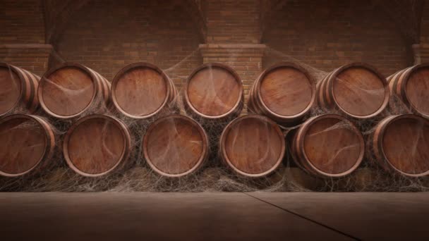 将葡萄酒或威士忌储存在黑暗的地下室或地下室的木桶 将橡木桶一个接一个地放置在无休止的循环画面中的侧视图 葡萄酒 储存概念4K — 图库视频影像