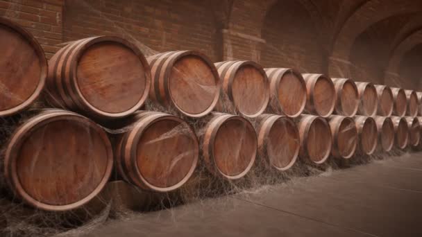 Barriles Madera Para Almacenar Vino Whisky Sótano Oscuro Bodega Vista — Vídeos de Stock