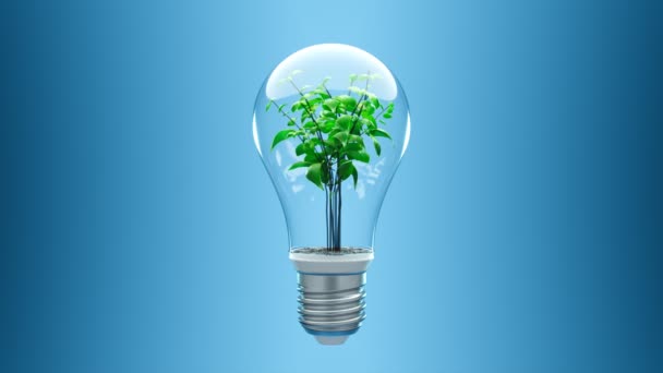 青い背景の電球で成長する緑の植物 環境温暖化の概念について 地球を救う エコロジー 中の植物が付いている球根ライト 環境を助けること 電力を節約する — ストック動画